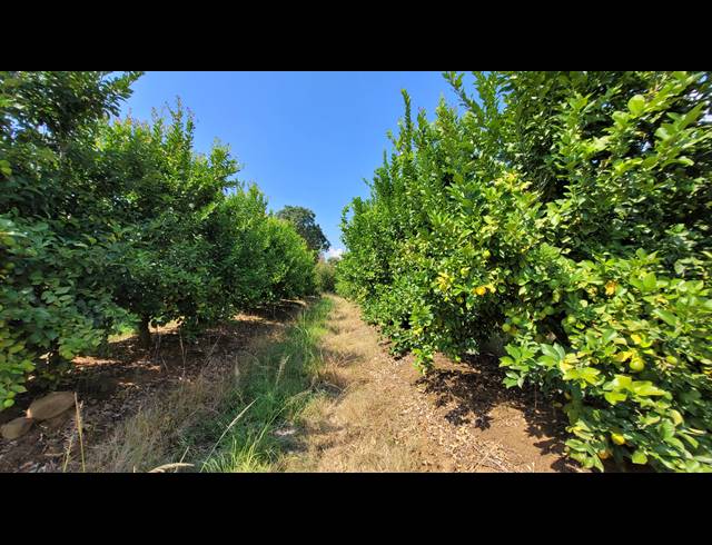 20HA FARM FOR SALE IN NELSPRUIT RURAL